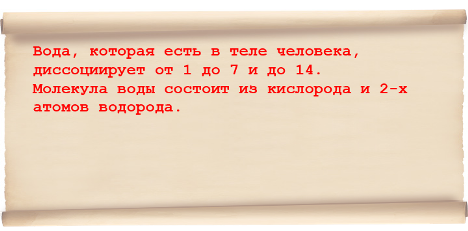 Механизмы регуляции кислотно-щелочного баланса