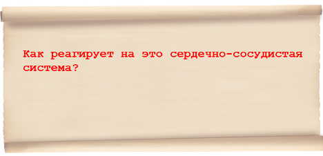 Реакция сердечно-сосудистой сисемы на закисление