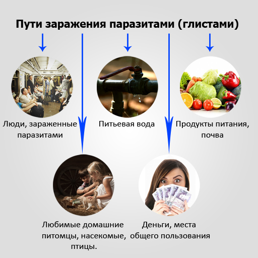 Проверить себя на заражение паразитами