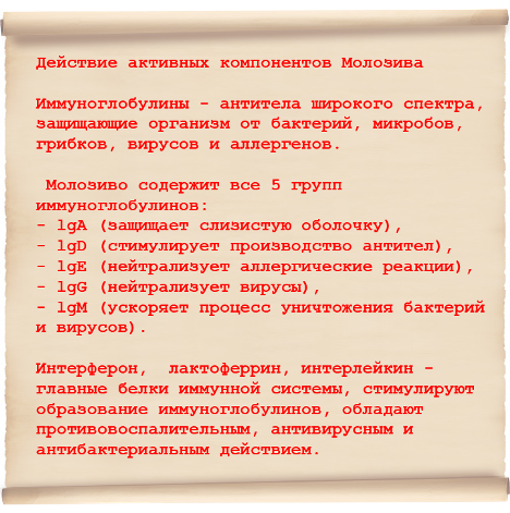 Молозиво - мощный щит для иммунной системы.