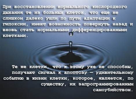 Коралловая вода - аккумулятор энергии и активатор тканевого дыхания. Коралловая вода - аккумулятор энергии и активатор тканевого дыхания.