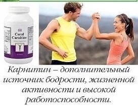 Карнитин описание
